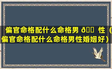 偏官命格配什么命格男 🐠 性（偏官命格配什么命格男性婚姻好）
